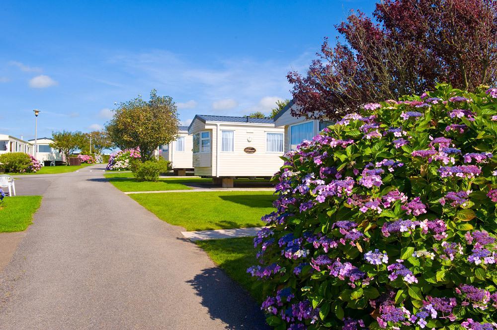 Wooda Farm Holidays Bude Oda fotoğraf