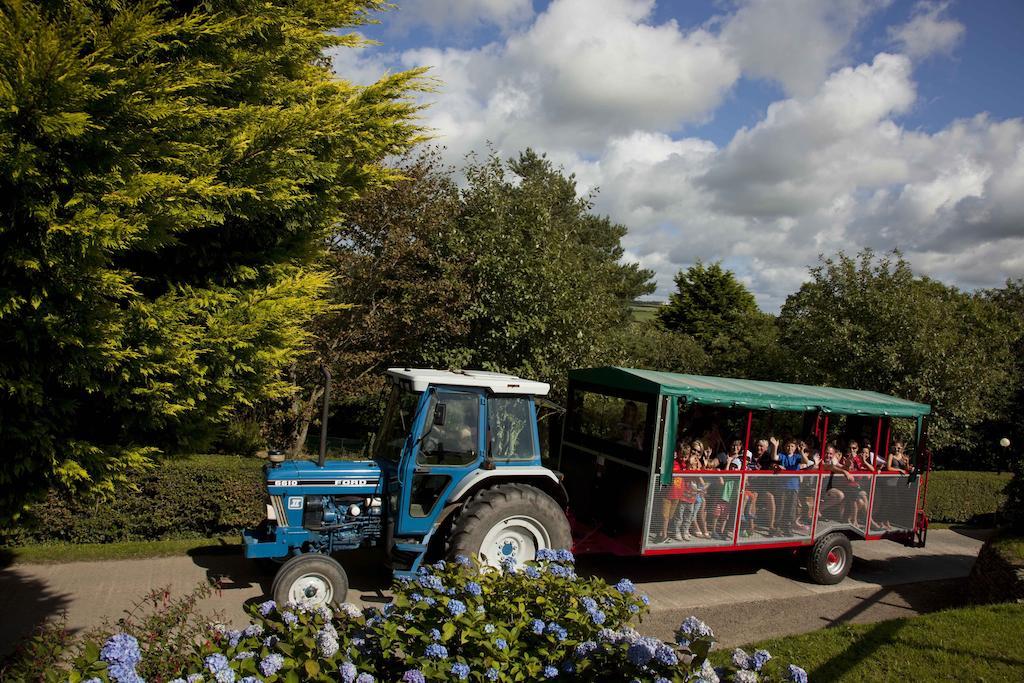 Wooda Farm Holidays Bude Dış mekan fotoğraf