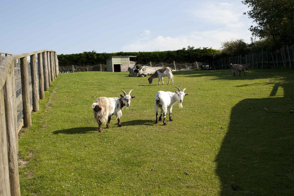 Wooda Farm Holidays Bude Dış mekan fotoğraf